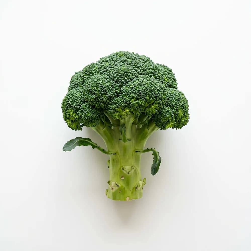 Broccoli