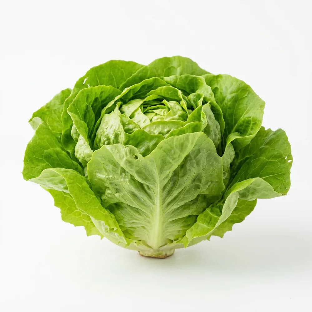 Salată Verde